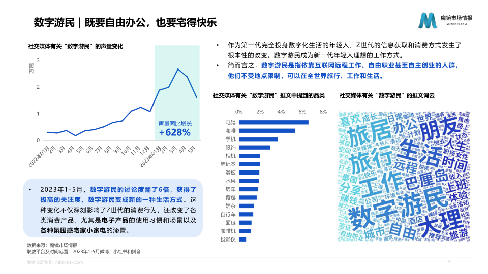 报告页面4