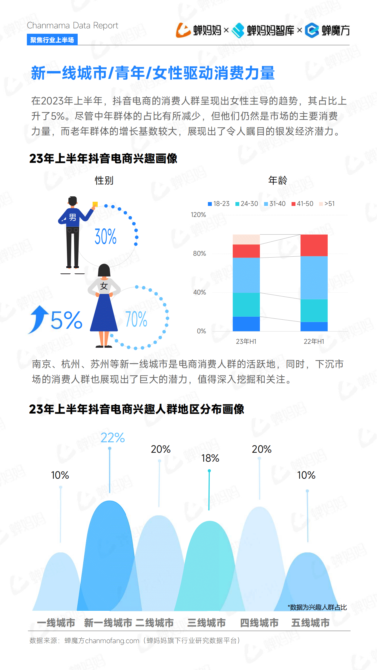 报告页面44