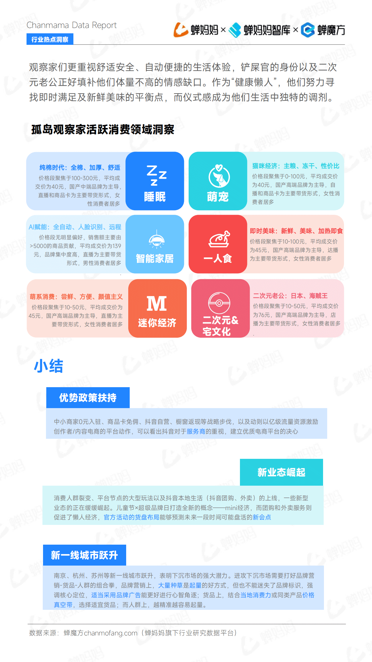 报告页面49