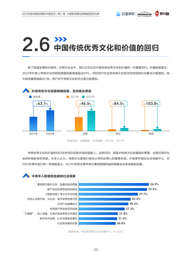 报告页面25