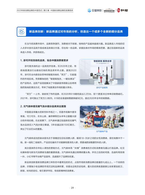 报告页面31