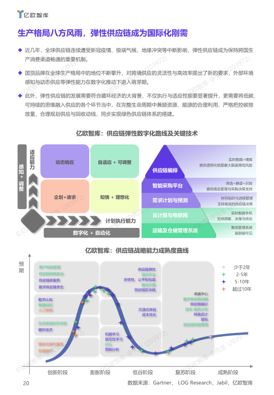 报告页面21