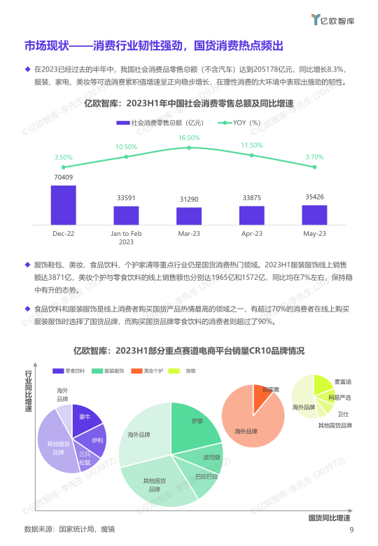 报告页面10