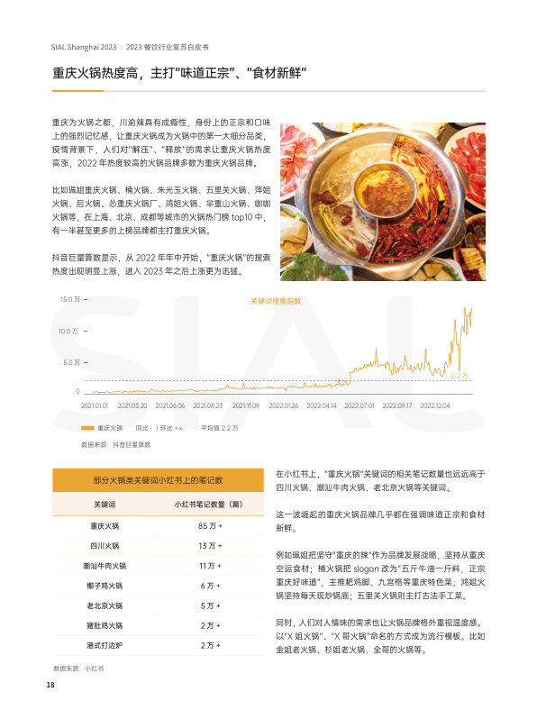 报告页面18