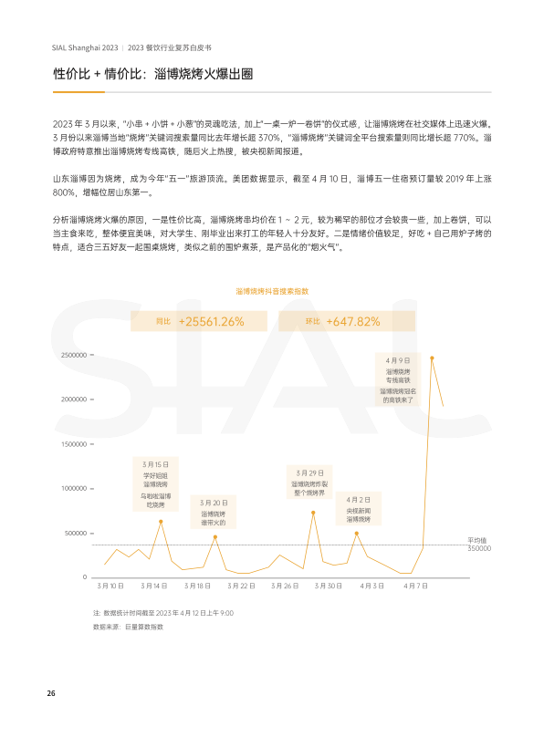 报告页面26