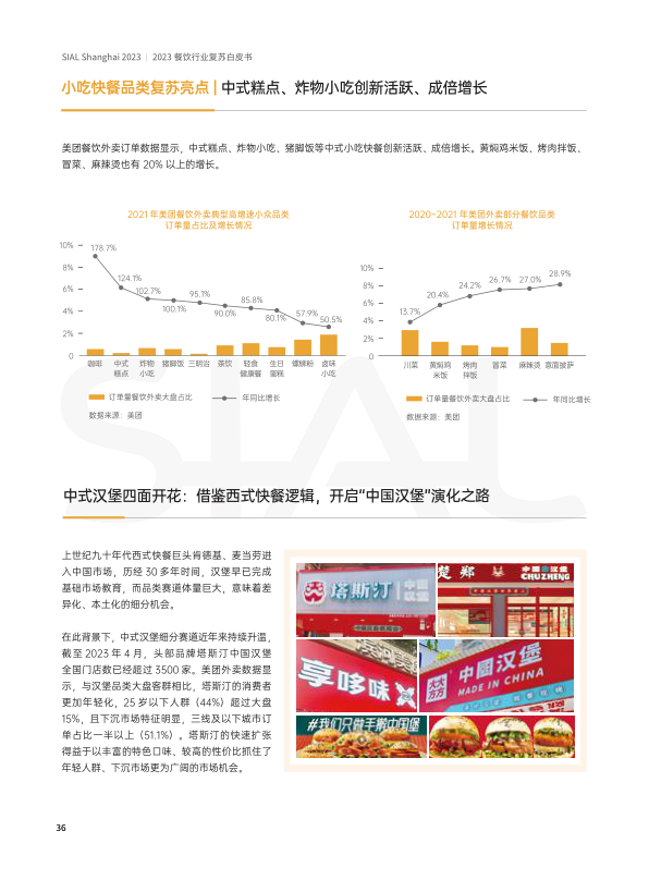 报告页面36