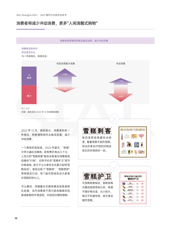 报告页面56