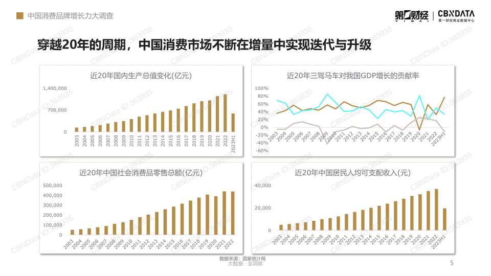 报告页面5