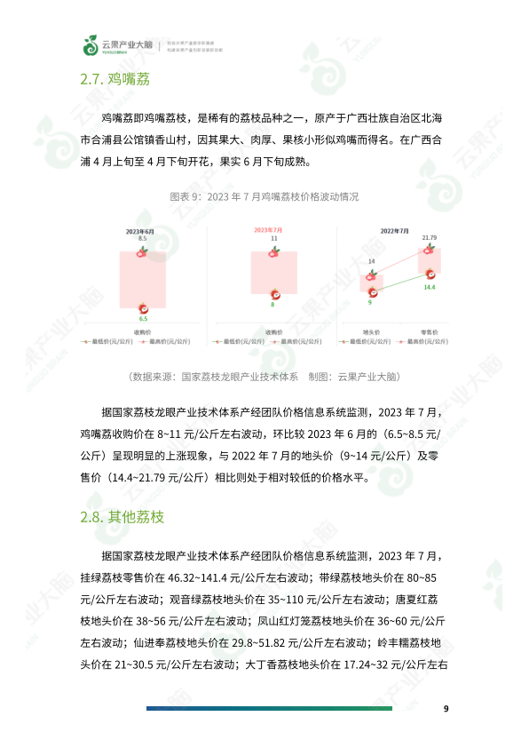 报告页面11