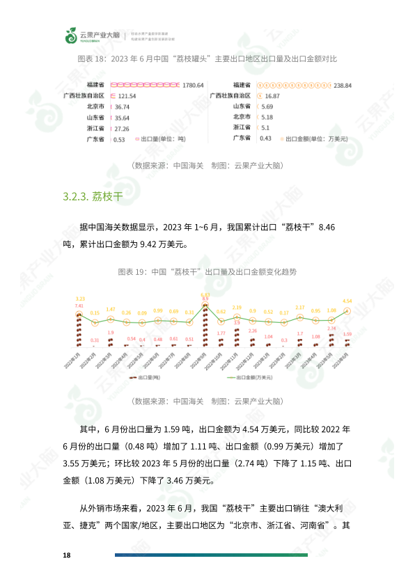 报告页面20