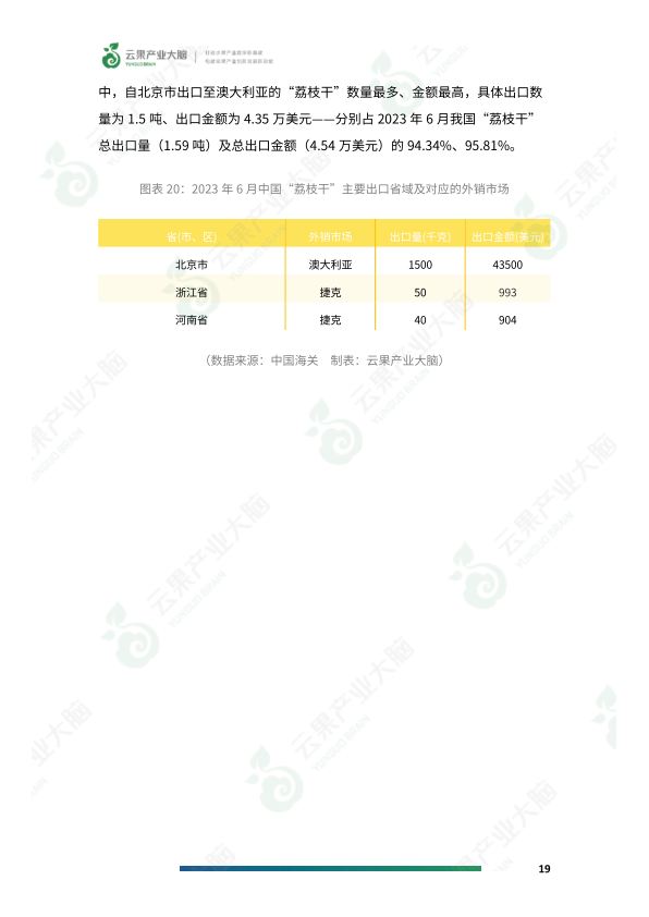 报告页面21