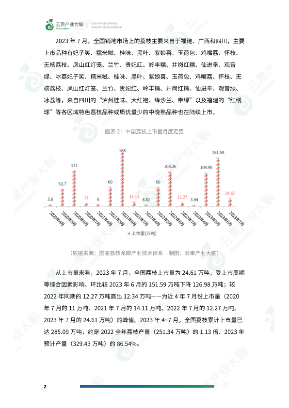 报告页面4