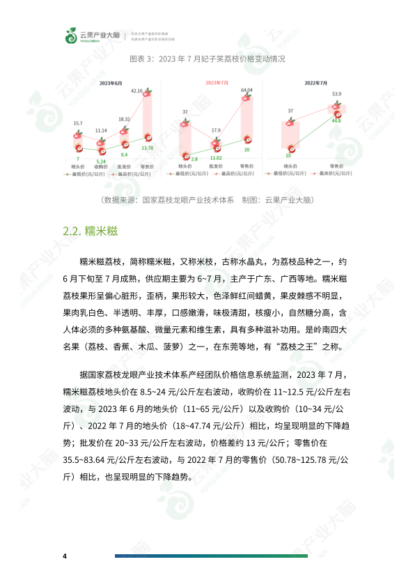 报告页面6