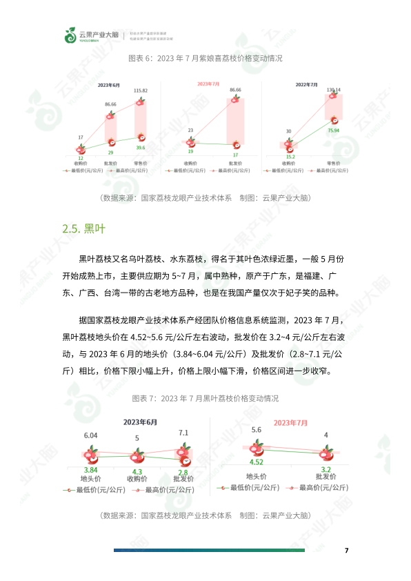 报告页面9