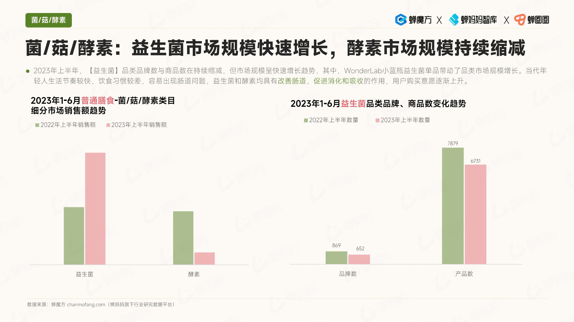 报告页面19