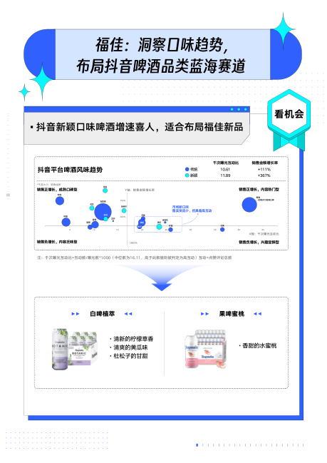 报告页面21