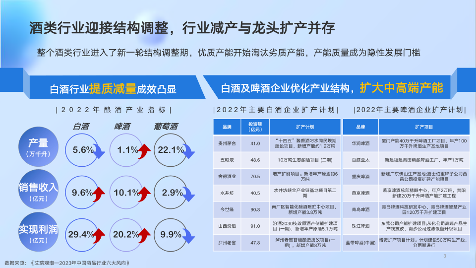 报告页面3