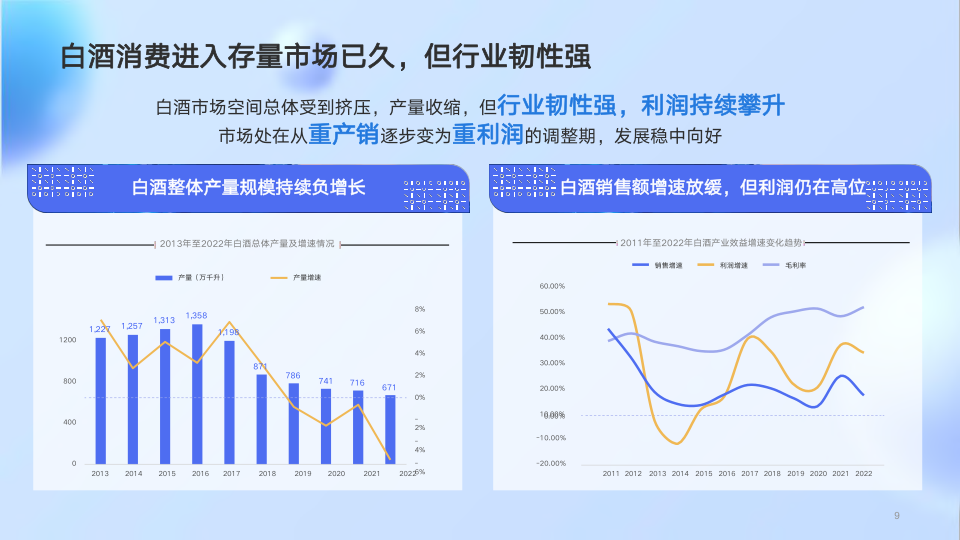 报告页面9