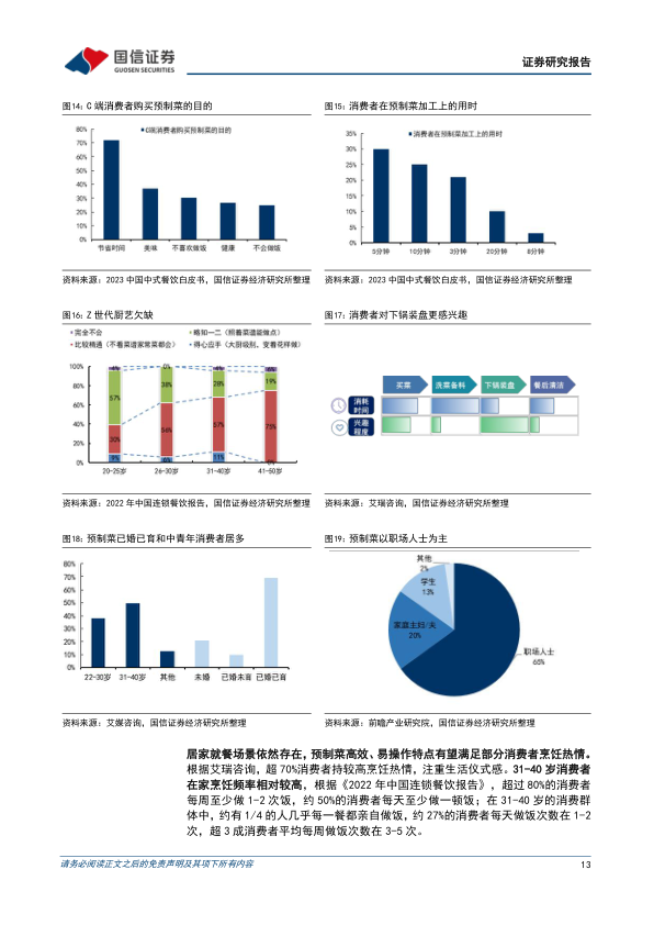 报告页面13