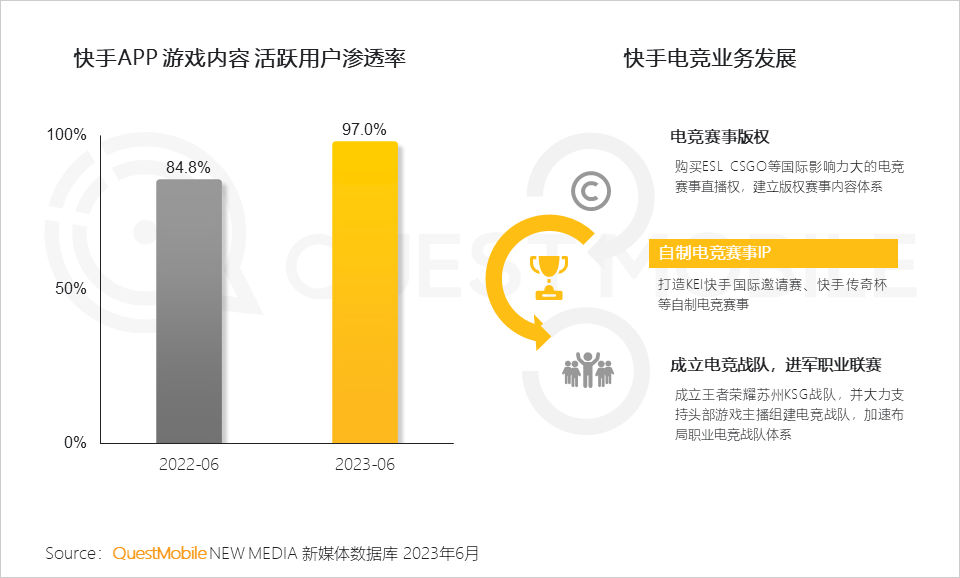 报告页面53