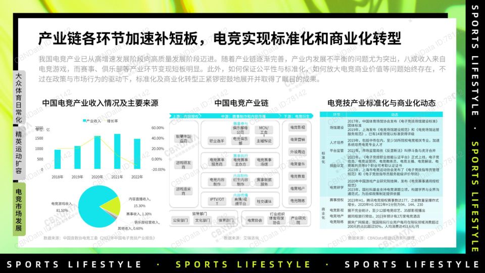 报告页面20