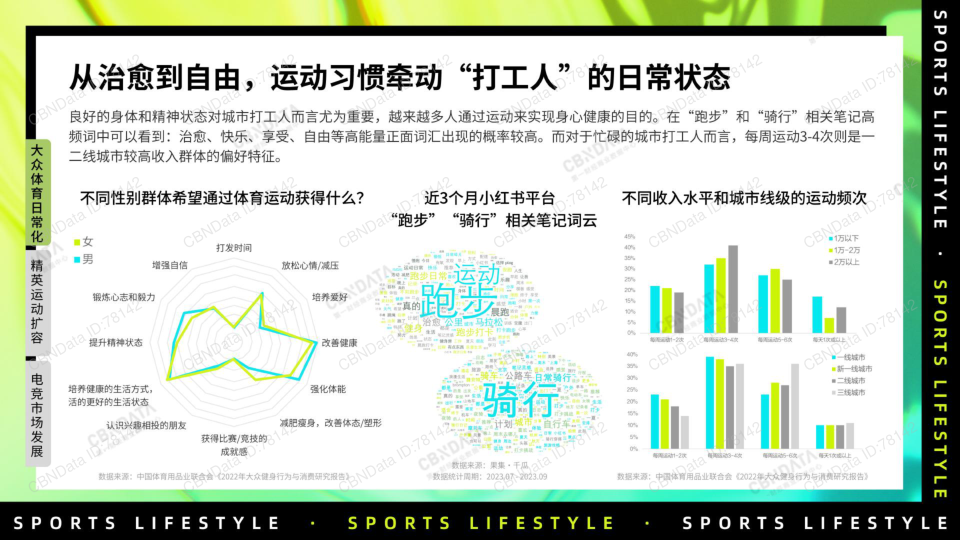 报告页面8