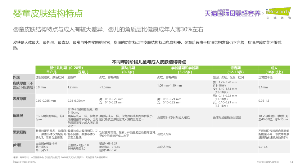 报告页面13