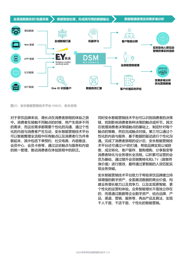 报告页面31