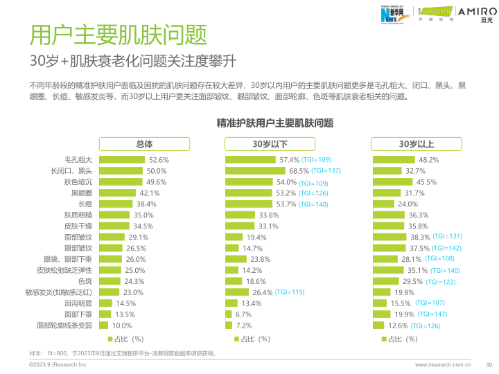 报告页面30