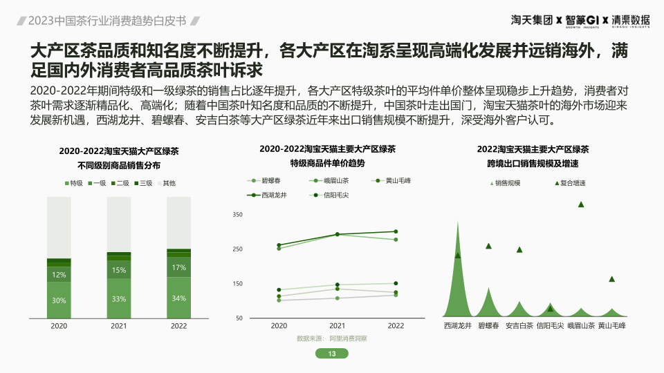 报告页面13