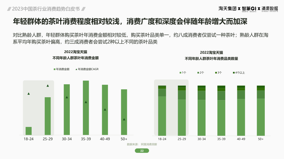 报告页面22