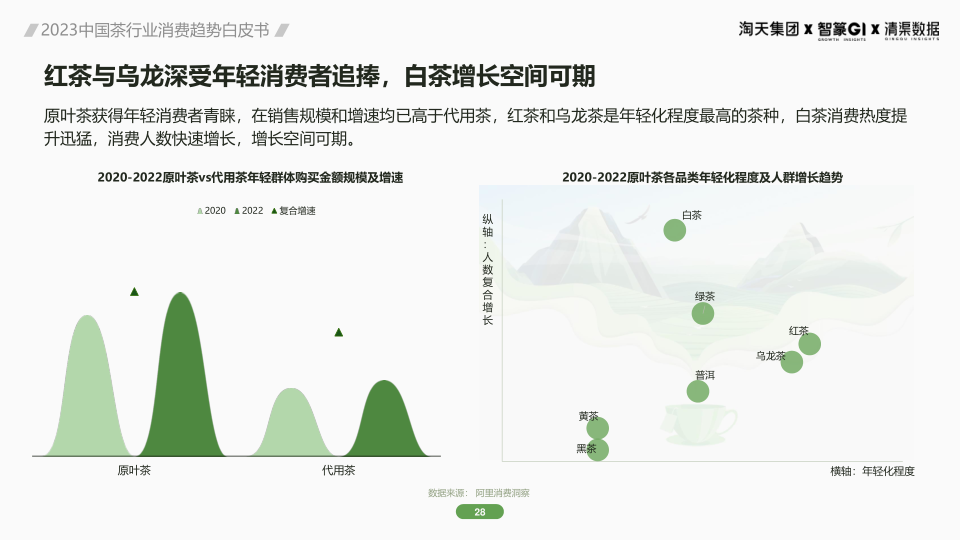 报告页面28