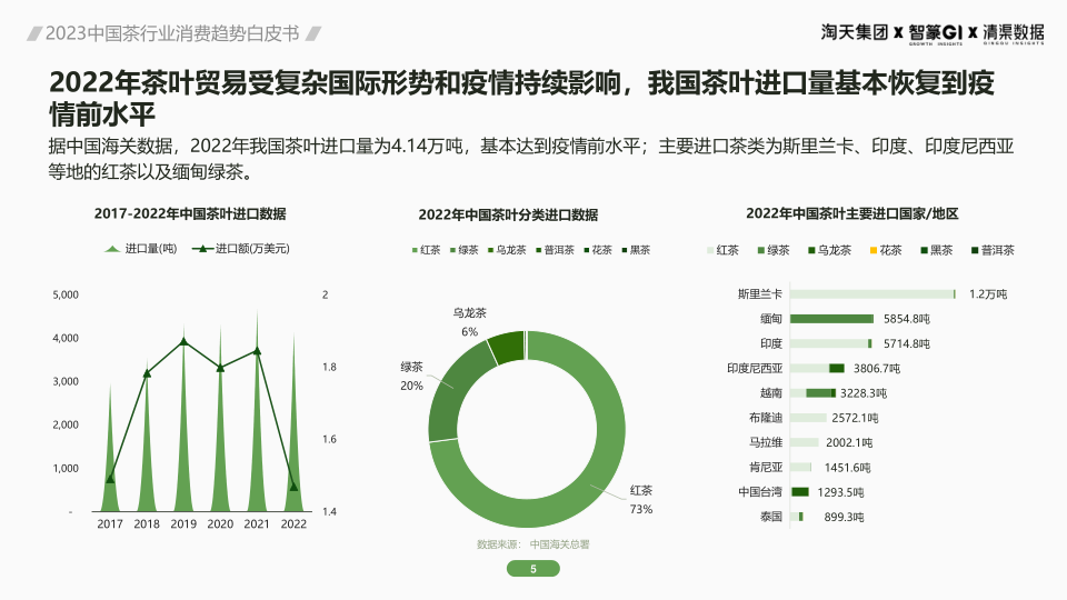 报告页面5