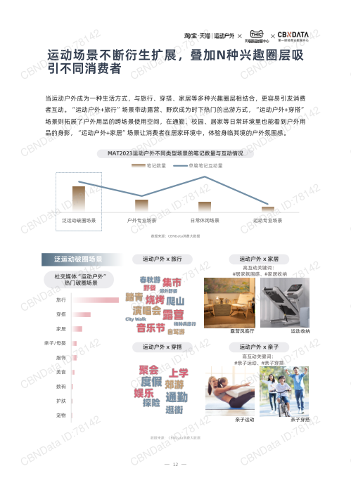 报告页面12