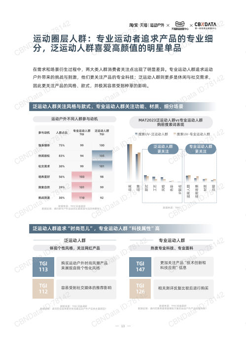 报告页面13