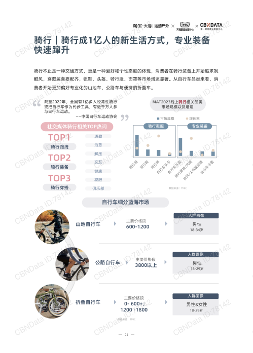 报告页面21