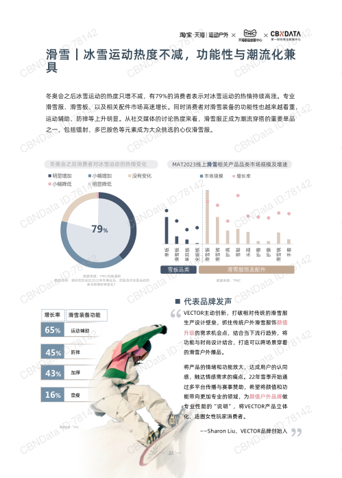 报告页面22