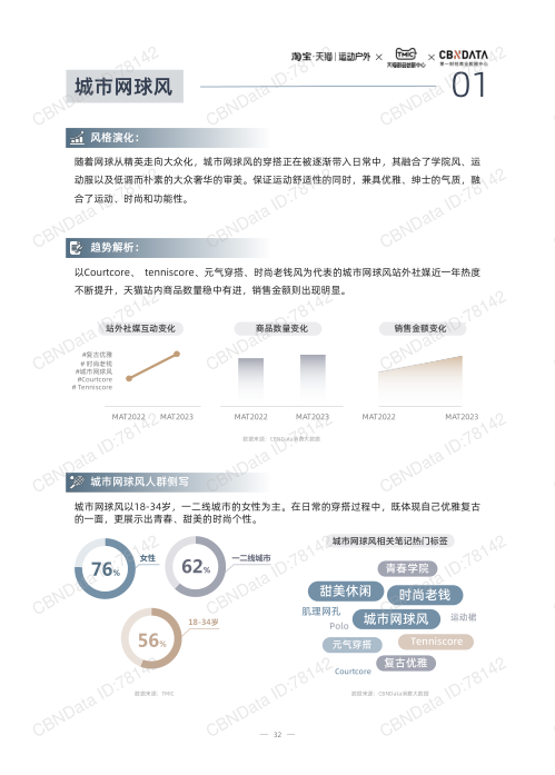 报告页面32