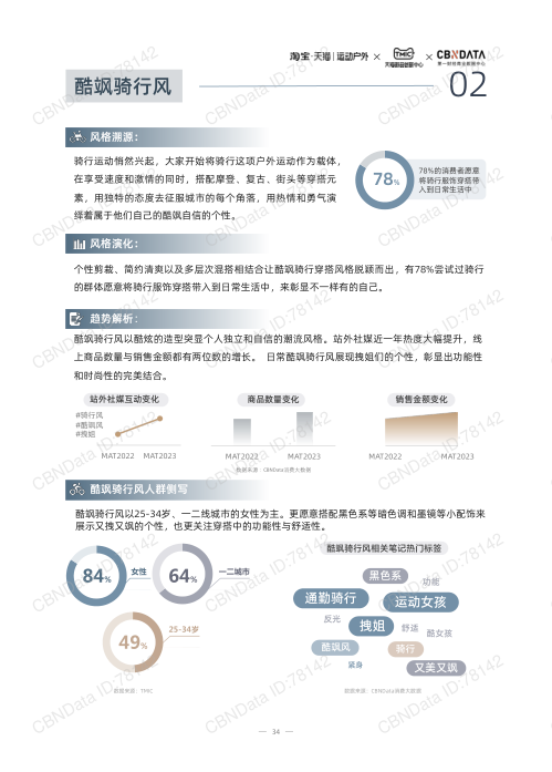 报告页面34