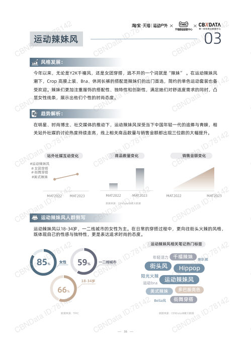 报告页面36