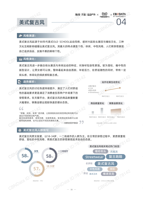 报告页面38