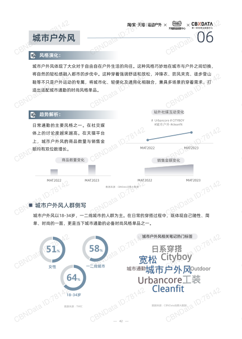 报告页面42