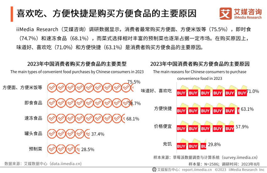 报告页面27