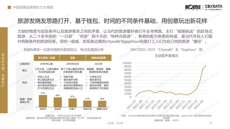 报告页面31