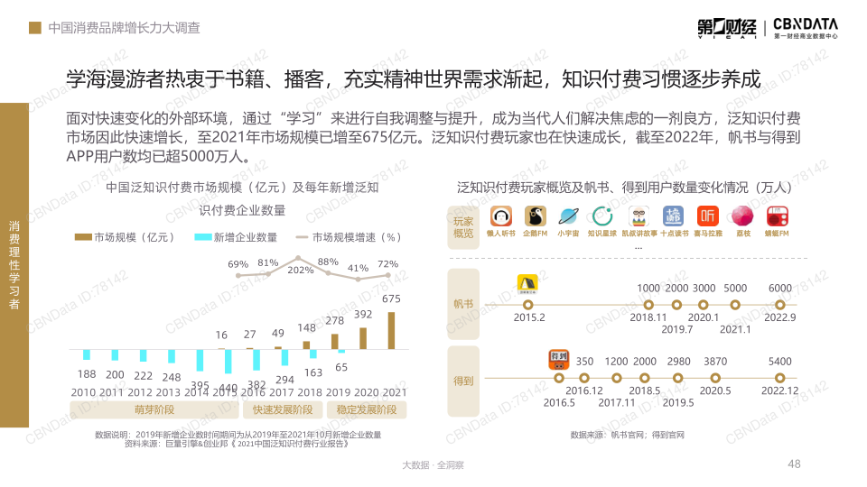 报告页面48