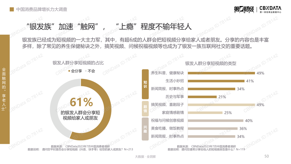 报告页面50