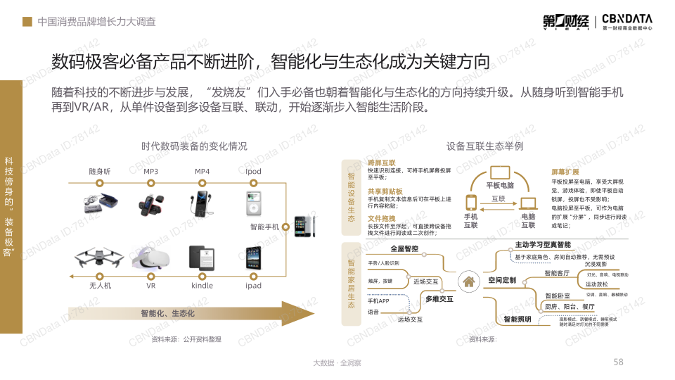 报告页面58