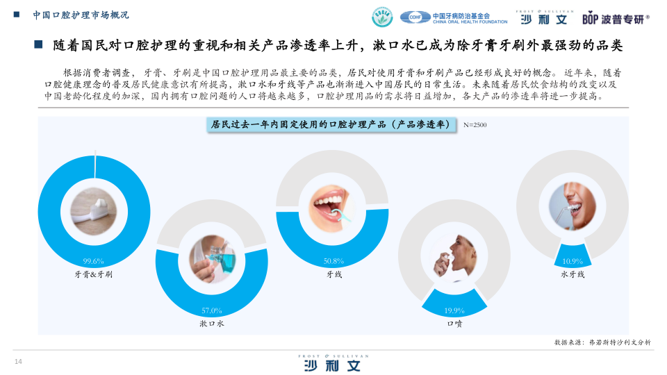 报告页面14