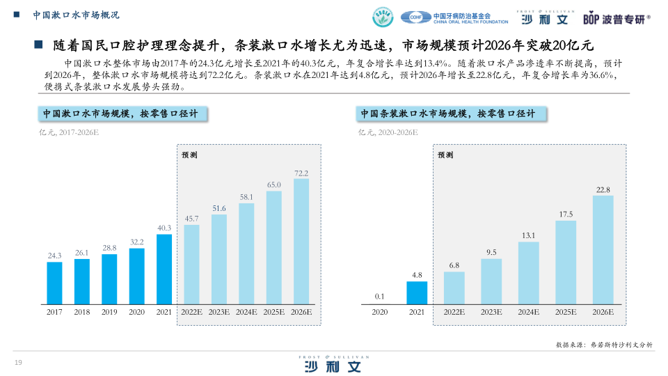 报告页面19