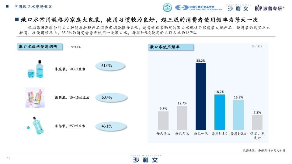 报告页面23